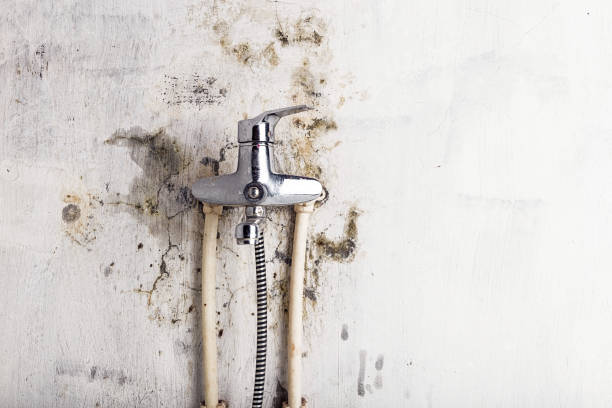 Best Mold Testing  in Keokuk, IA
