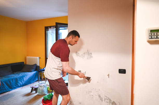 Best Attic Mold Removal  in Keokuk, IA